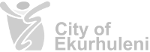 City of Ekurhuleni