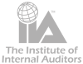 Institute of Internal Auditors South Africa (IIA SA)